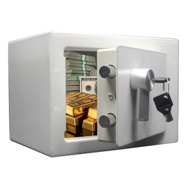 Yuanshikj Steel Safe Box - Key Locked, 0.2 Cubic Ft Small Home Safe for Cash & Jewelry (WHITE)