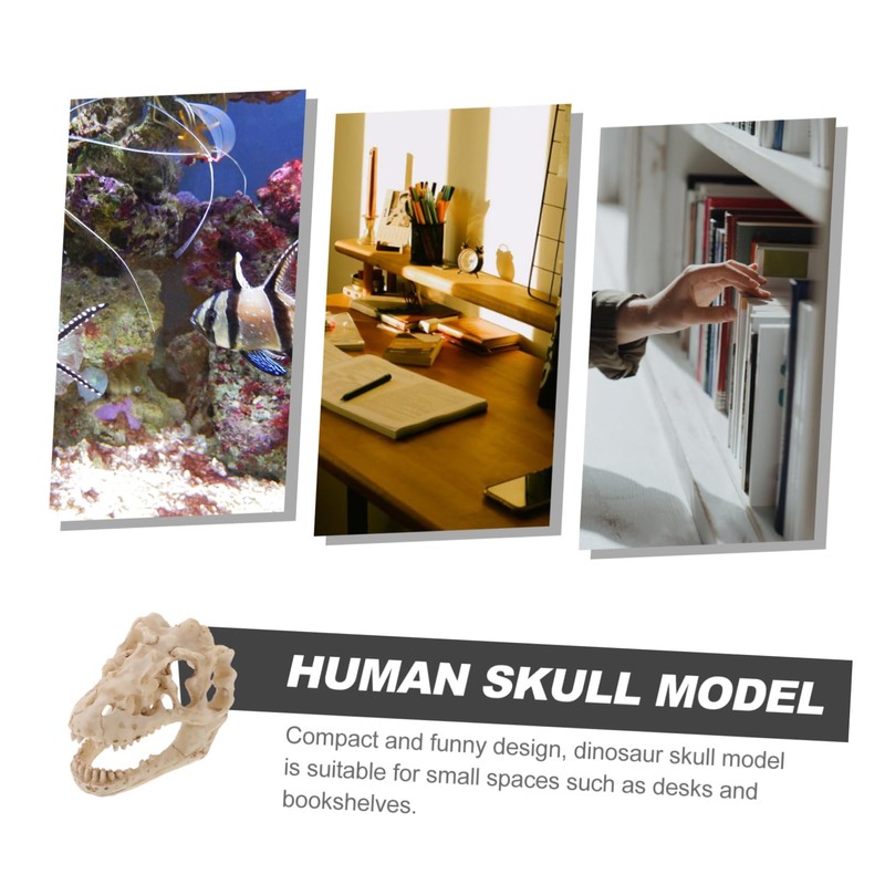 Ciieeo Resin Dinosaur Skull Model Simulated Skull Decoration for Office