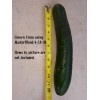 MASTERBLEND ® 4-18-38 Tomato & Vegetable Fertilizer (5 bs) FREE