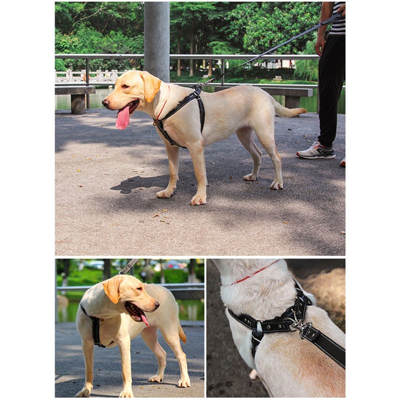 Dog Harness Leather Soft Harness Adjustable Chest Harnesses Norwegian Pet