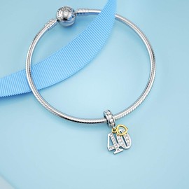 DALARAN Birthday Number 21st 30th 40th 50th Celebration Letter Charm for Bracelets Present for Women Wife Sister Friends, Silver, Cubic Zirconia