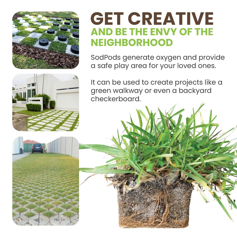 SodPods® Zoysia Grass Plugs for Lawn Repair, 3" x 3"