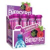 Zipfizz Daily Energy Drink Powder, Berry, 12 Pack | 3-in-1