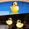Floating Solar Pool Lights, 16 inch Waterproof Pool Lights that