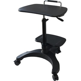 Aidata Ergonomic Sit-Stand Mobile Laptop Cart Work Station with Printer Shelf.