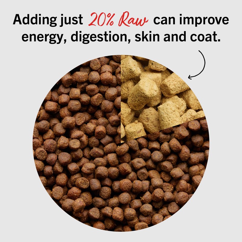 Stella & Chewy's Freeze-Dried Raw Salmon & Cod Meal Mixers-