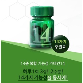 Catechin effect green green tea extract booster body fat reduction / 카테킨효능 그린 녹차추출물 부스터 체지방감소