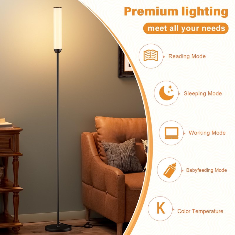 LED Floor Lamp with Remote Control, 65" Standing Lamp with