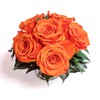 ROSEMARIE SCHULZ Heidelberg Infinity Roses in Silver Flower Bowl -