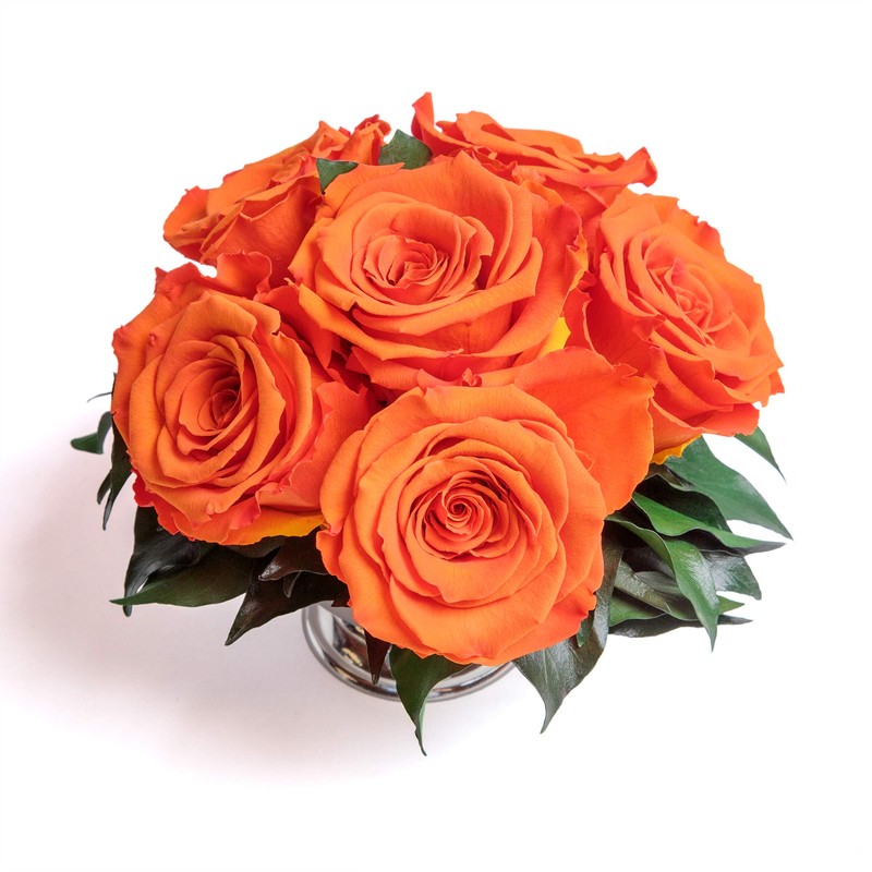 ROSEMARIE SCHULZ Heidelberg Infinity Roses in Silver Flower Bowl -