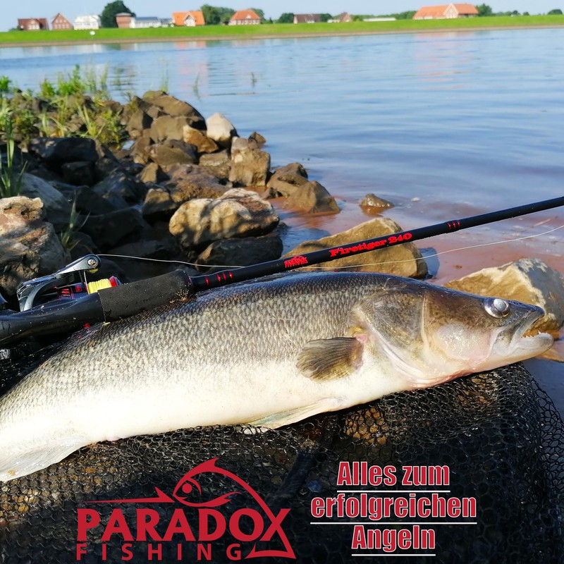 Paradox Fishing Set of 5 Penguin Zander Rubber Fish 13