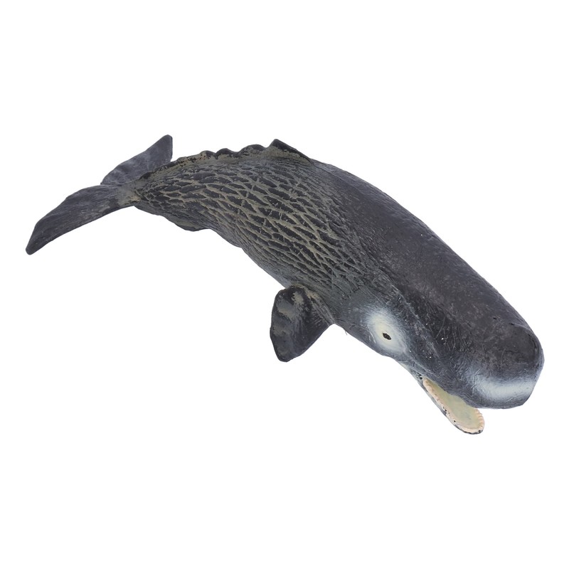 Realistic Sperm Whale Replica Simulated Marine Animal Model Educational Collector