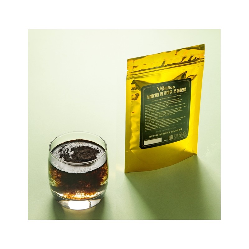 [Good Mushrooms] Siberian Chaga Mushroom Extract Powder, Economical 100g /