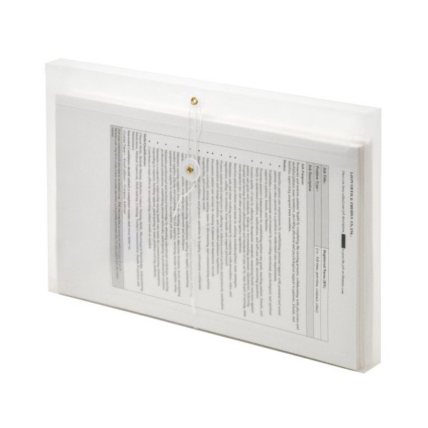 Lion String-A-Long Clear Poly Envelopes with Gusset, Legal, Side Load,