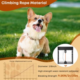 Long Dog Leash for Dog Training 16FT/30FT/50FT/100FT, Reflective Dog Leash with Lockable Hook, Heavy Duty Dog Lead Tie Out Rope for Large Medium Small Dogs Outside Walking, Playing, Camping, or Yard