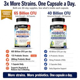 BioSchwartz Daily Probiotic Nutritional Supplement - 40 Billion CFU for Gut Health - Probiotics for Men and Women - Digestive Health with Astragalus &