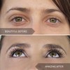 4D Mega Volume Primer Mascara Duo