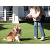 Fida Retractable Dog Leash, 16 ft Dog Walking Leash for