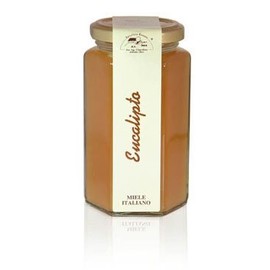 Apicoltura Cazzola Italy - Eucalyptus Honey - Jar of 350 g
