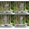 Lewisia 5W Solar Fountain Pump with Battery Backup LED Lighting