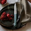 Opinel Set of 4 Bon Appetit+ Dishwasher Safe Serrated Steak