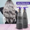 Kolor Shot Shampoo Matizador Plata Para Cabello Amarillo Beige Y