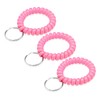 TENOC Spiral Coil Keychain 3 Pcs, Anti-lost Key Chain Holder