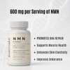 Evernate NMN 600 mg – 90 Cápsulas | 99.6% de