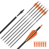 Carbon Arrow Hunting Arrows with 100 Grain Tip and Removable