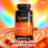 Energy Boost | Camellia sinensis, L-Carnitina, Fucoidan, Triptófano, Colágeno +