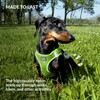CollarDirect Step-in Reflective Dog Harness - Any Weather Air Mesh