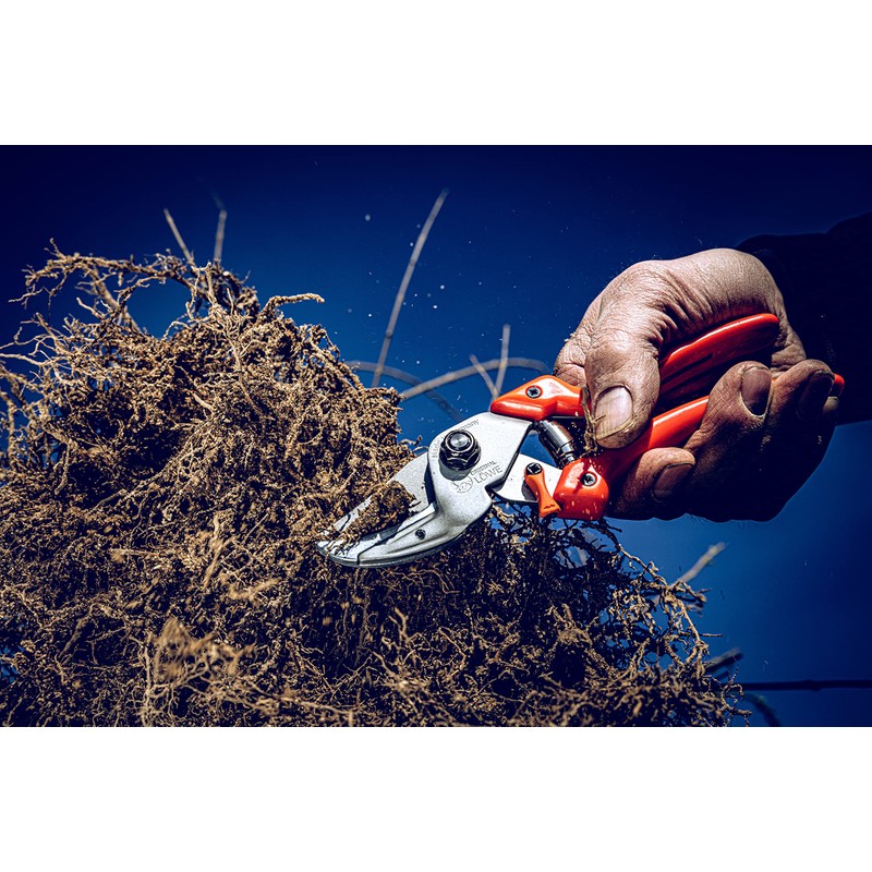 Original Löwe Garden Shears, Metal