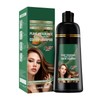 Shampoo para Canas 3 en 1, Shampoo Tinte Instantaneo Cubre