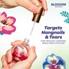 Blossom Blossom + Blue Cross Hydrating, Moisturizing, Strenthening Cuticle Oil