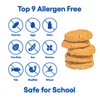 Gluten Free Partake Ginger Snap Crunchy Cookies - Vegan -