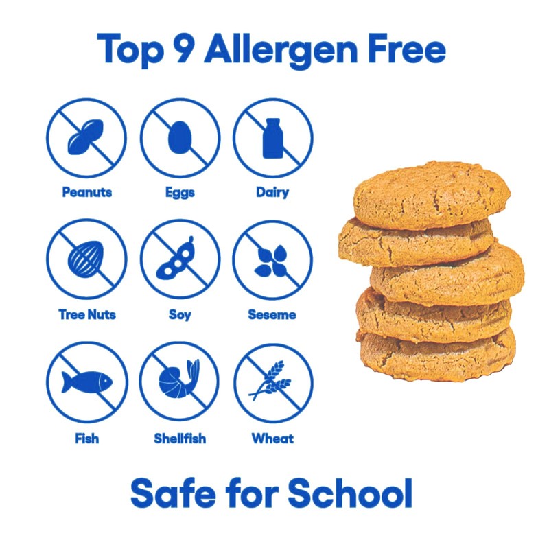 Gluten Free Partake Ginger Snap Crunchy Cookies - Vegan -