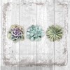 Boston International C026500 IHR Cocktail Beverage Paper Napkins, 5 x