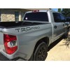 Advanced Trims 2X 3D Truck Bedside Inserts Emblem for Tundra