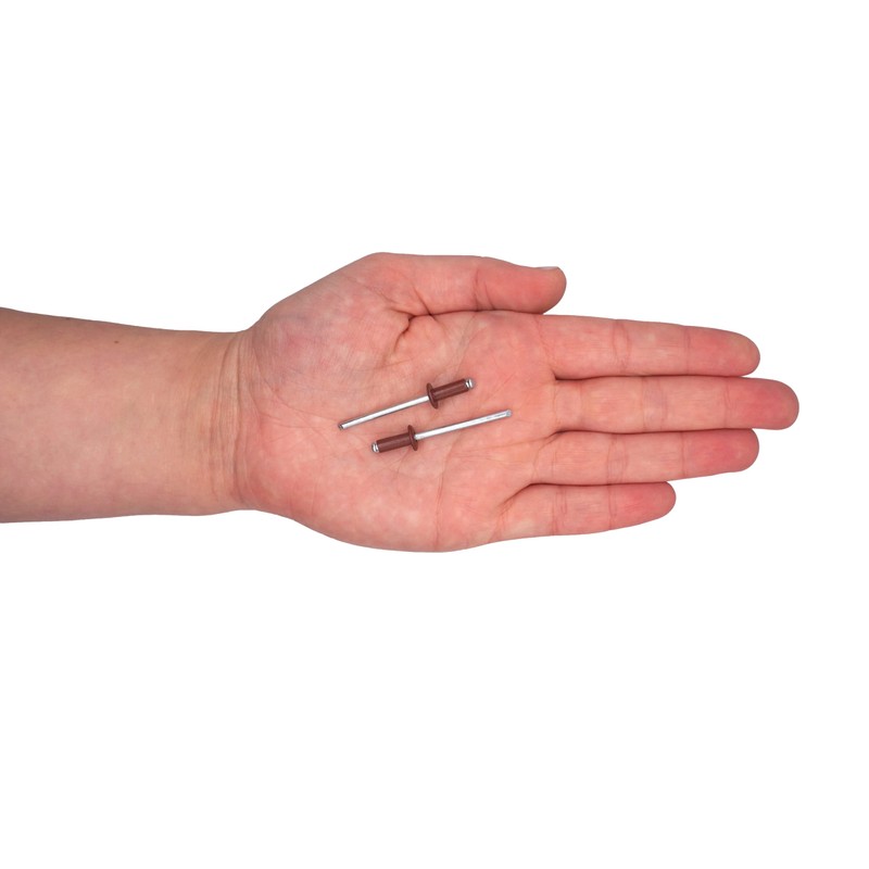 Pack of 100 Painted Blind Rivets 4.0 x 10 mm,