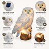 Solar Owl Garden Light for Outdoor Decor – Motion Sensor