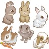 Oliver's Labels Easter Bunnies Wall Decals Peel and Stick Removable
