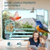 BROAIMX Smart Bird Feeder with Camera, Free AI Forever for