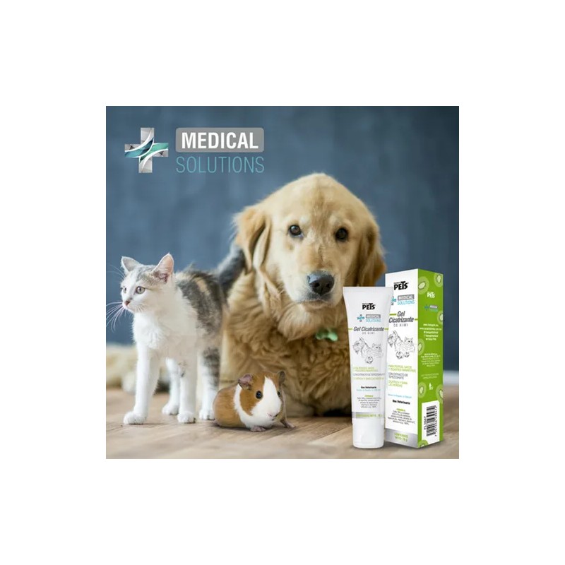 Ms - Gel Cicatrizante Kiwi Pack De 2 Tubos De