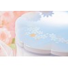 Tatsumiya Polarized Pearl Heavy Box 19.0 Cherry Blossom Two-Tier Hors