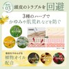 revena organic treatment rinse salon exclusive hair quality improvement treatment