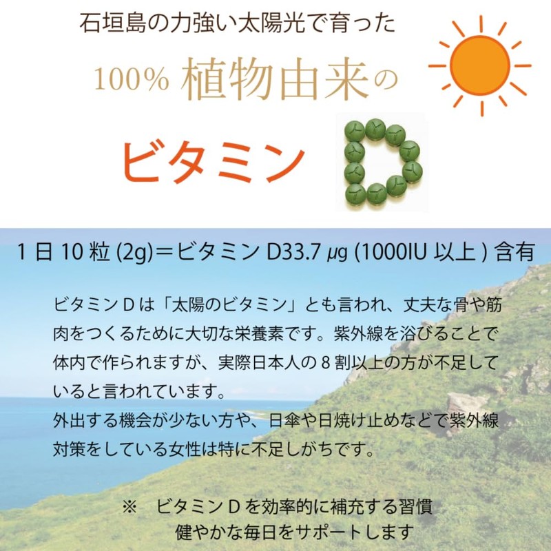 八重山クロレラ 900粒 八重山殖産 ヤエヤマクロレラ 添加物不使用 ３ヶ月分 クロレラ サプリメント ピュアクロレラ