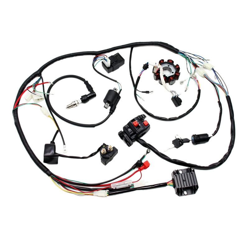 PRO BAT Full Electric Wiring Harness Wire Loom CDI Coil