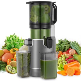 Juicer Machines, 5.4" Extra Large Feed Chute Fit Whole Fruits & Vegetables, Slow Masticating Cold Press Juicer Easy to Clean, 250W, High Juice Yield
