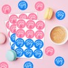 Gender Reveal Stickers 120pcs GenderReveal Stickers Games Baby Shower Party