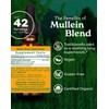 Herb Pharm Certified Organic Mullein Blend Liquid Extract for Respiratory